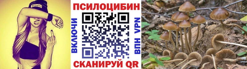Псилоцибиновые грибы мицелий  цены   Рославль 